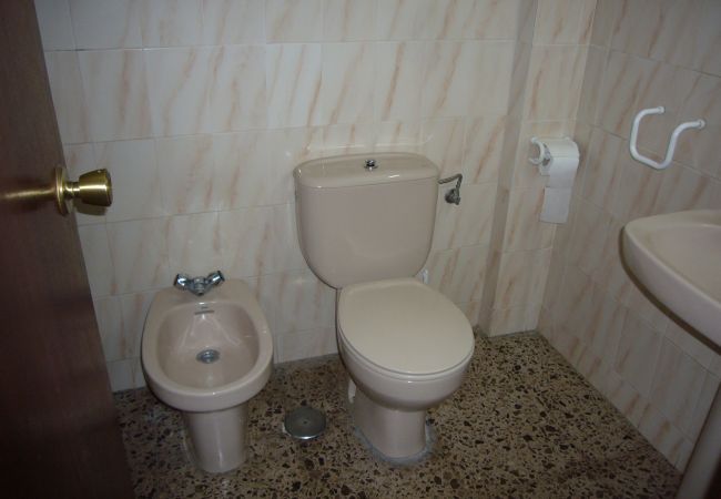 Apartamento en Benidorm - ISLANDIA (1 DORMITORIO) Apartamento en Benidorm - ISLANDIA (1 DORMITORIO)