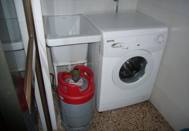 Apartamento en Benidorm - ISLANDIA (1 DORMITORIO) Apartamento en Benidorm - ISLANDIA (1 DORMITORIO)