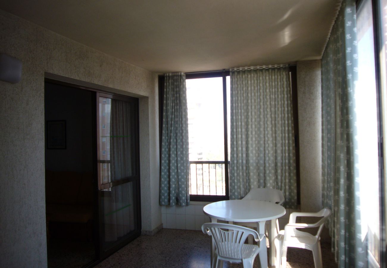 Apartamento en Benidorm - ISLANDIA (1 DORMITORIO)