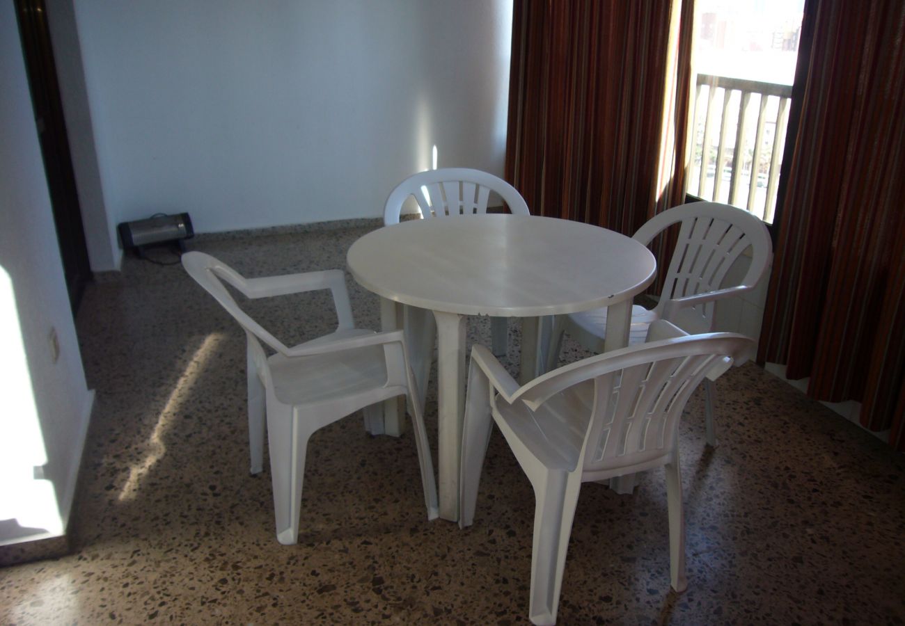 Apartamento en Benidorm - ISLANDIA (1 DORMITORIO)