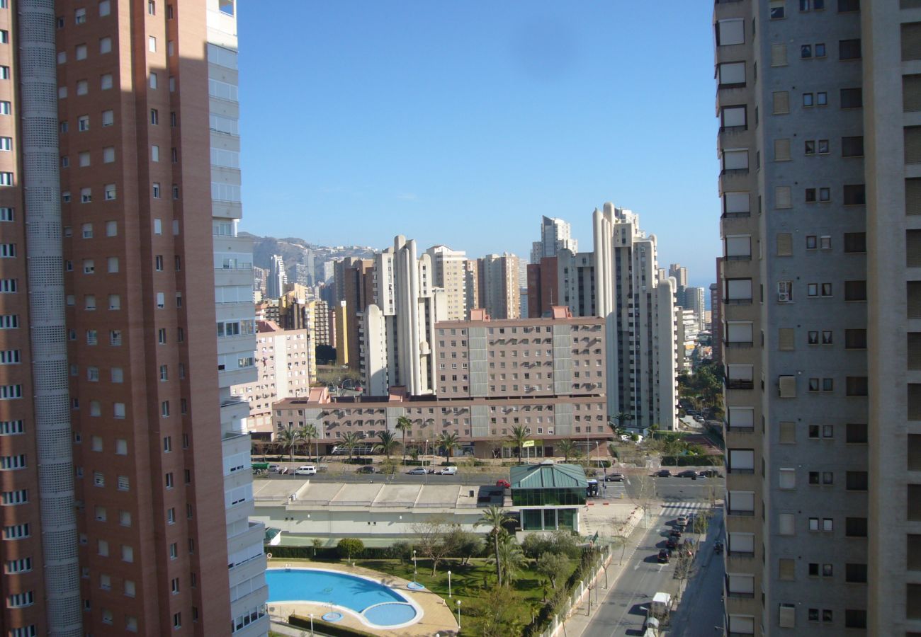 Apartamento en Benidorm - ISLANDIA (1 DORMITORIO)