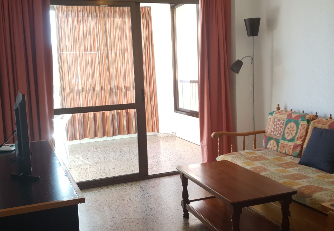 Apartamento en Benidorm - ISLANDIA (1 DORMITORIO)