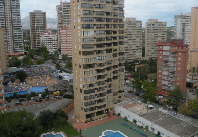 Apartamento en Benidorm - GEMELOS 4 (1 DORMITORIO)