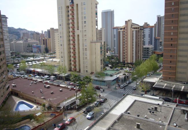 Apartamento en Benidorm - GEMELOS 4 (1 DORMITORIO) Apartamento en Benidorm - GEMELOS 4 (1 DORMITORIO)
