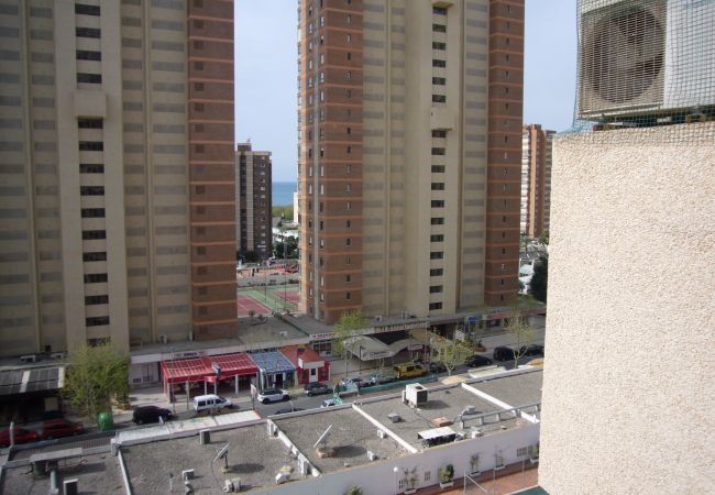 Apartamento en Benidorm - GEMELOS 4 (1 DORMITORIO) Apartamento en Benidorm - GEMELOS 4 (1 DORMITORIO)