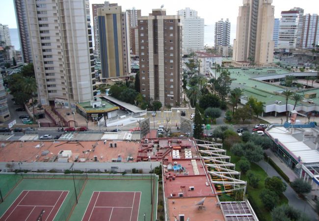 Apartamento en Benidorm - GEMELOS 2 (1 DORMITORIO) Apartamento en Benidorm - GEMELOS 2 (1 DORMITORIO)