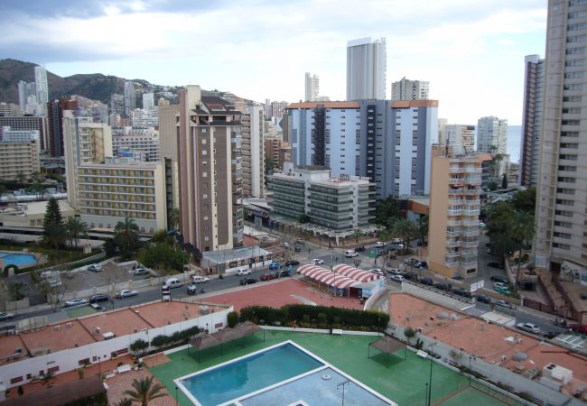 Apartamento en Benidorm - GEMELOS 2 (1 DORMITORIO) Apartamento en Benidorm - GEMELOS 2 (1 DORMITORIO)
