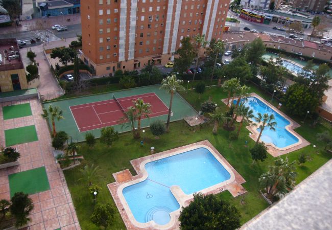 Apartamento en Benidorm - GEMELOS 12 (1 DORMITORIO)