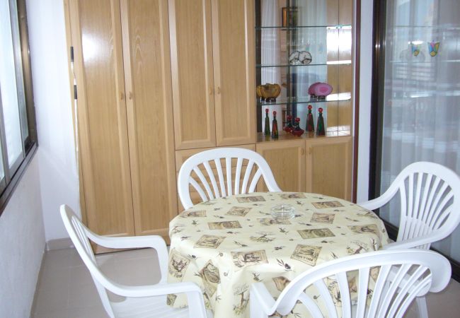 Apartamento en Benidorm - GEMELOS 12 (1 DORMITORIO) Apartamento en Benidorm - GEMELOS 12 (1 DORMITORIO)