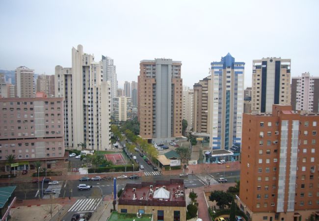 Apartamento en Benidorm - GEMELOS 12 (1 DORMITORIO) Apartamento en Benidorm - GEMELOS 12 (1 DORMITORIO)