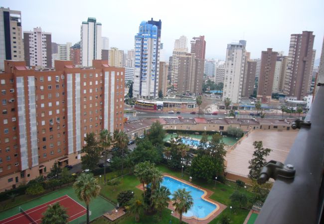 Apartamento en Benidorm - GEMELOS 12 (1 DORMITORIO) Apartamento en Benidorm - GEMELOS 12 (1 DORMITORIO)