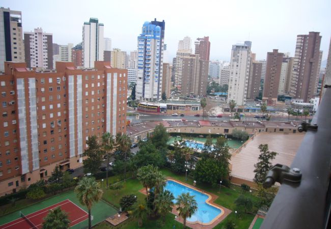 Apartamento en Benidorm - GEMELOS 12 (1 DORMITORIO)