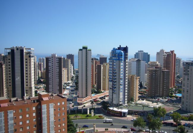 Apartamento en Benidorm - GEMELOS 12 (1 DORMITORIO) Apartamento en Benidorm - GEMELOS 12 (1 DORMITORIO)