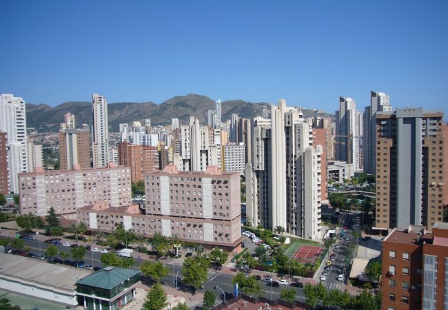 Apartamento en Benidorm - GEMELOS 12 (1 DORMITORIO) Apartamento en Benidorm - GEMELOS 12 (1 DORMITORIO)
