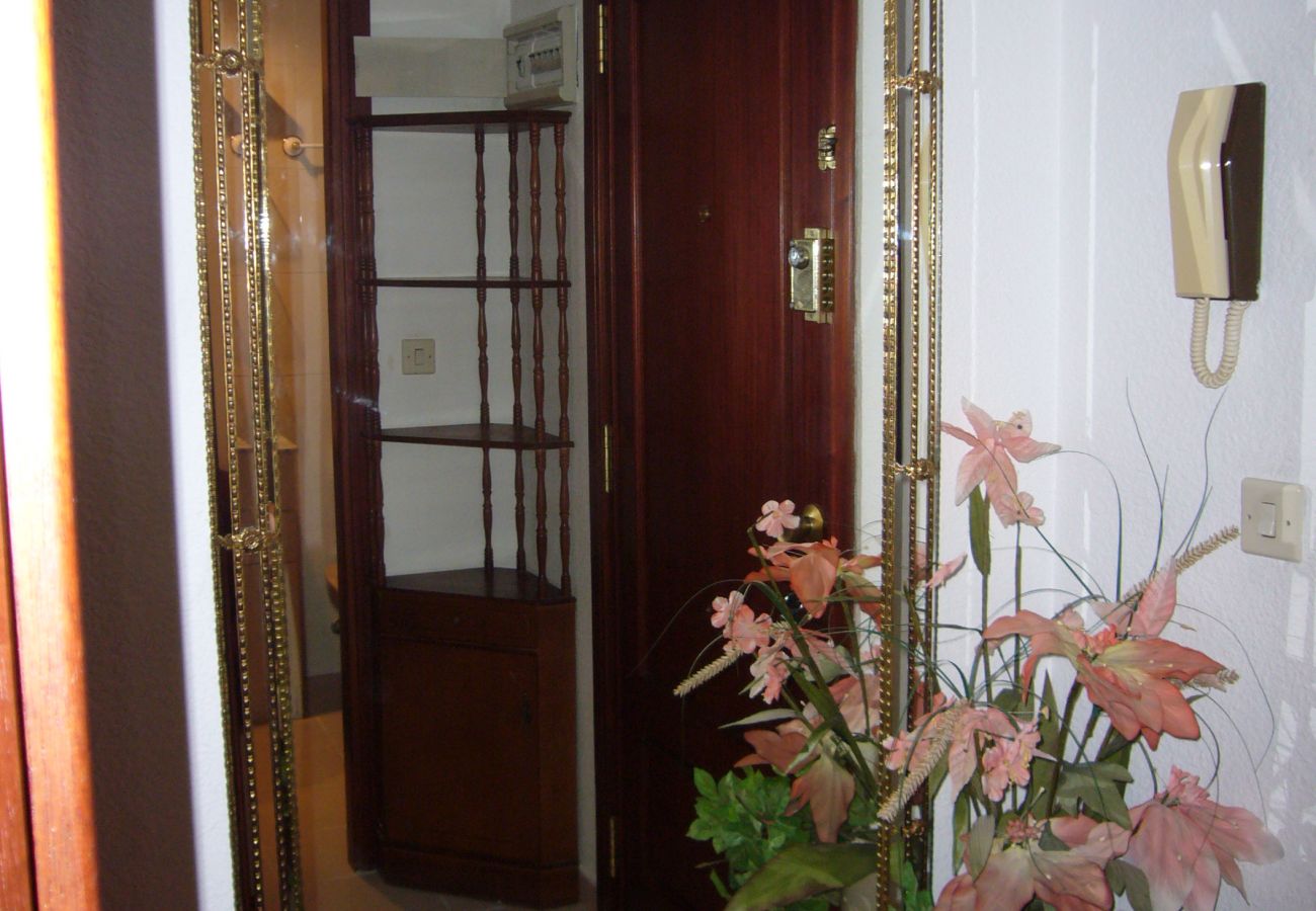 Apartamento en Benidorm - GEMELOS 12 (1 DORMITORIO)