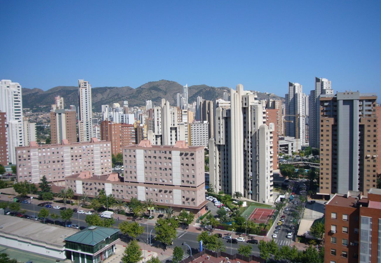 Apartamento en Benidorm - GEMELOS 12 (1 DORMITORIO)