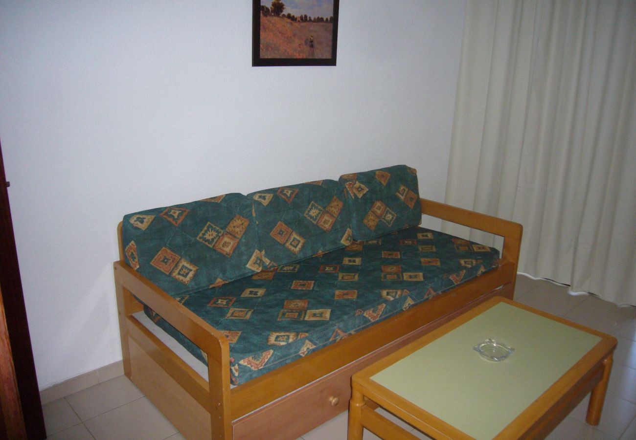 Apartamento en Benidorm - GEMELOS 12 (1 DORMITORIO)