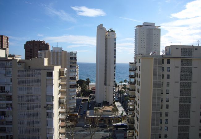 Apartamento en Benidorm - LOS PINOS (1 DORMITORIO)