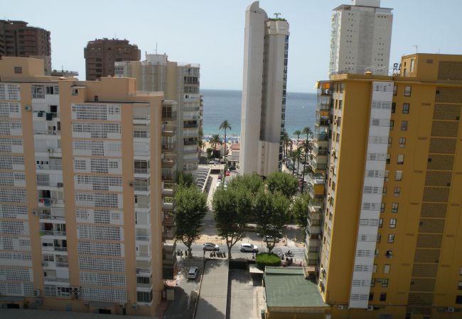 Apartamento en Benidorm - LOS PINOS (1 DORMITORIO)