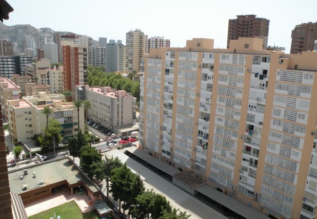 Apartamento en Benidorm - LOS PINOS (1 DORMITORIO)