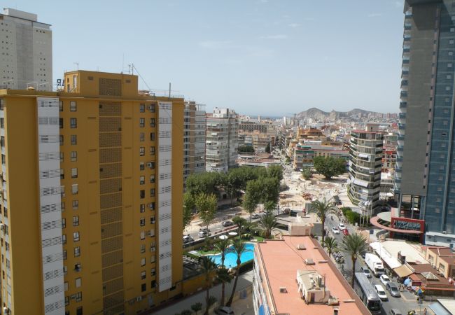 Apartamento en Benidorm - LOS PINOS (1 DORMITORIO) Apartamento en Benidorm - LOS PINOS (1 DORMITORIO)