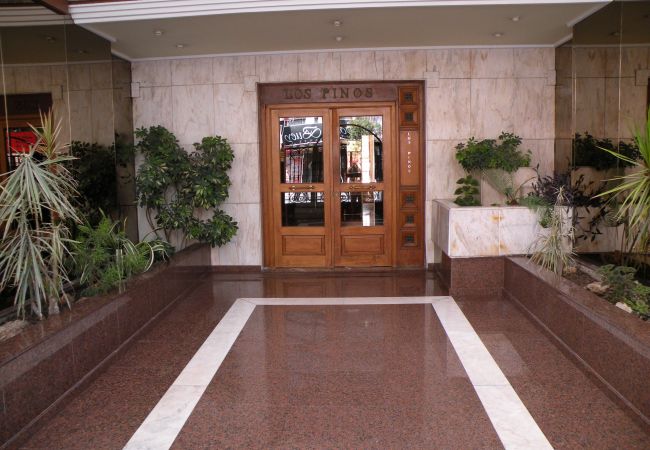 Apartamento en Benidorm - LOS PINOS (1 DORMITORIO) Apartamento en Benidorm - LOS PINOS (1 DORMITORIO)