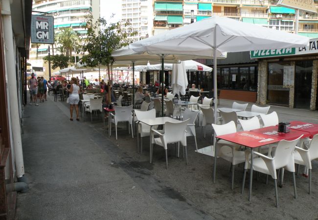 Apartamento en Benidorm - LOS PINOS (1 DORMITORIO) Apartamento en Benidorm - LOS PINOS (1 DORMITORIO)