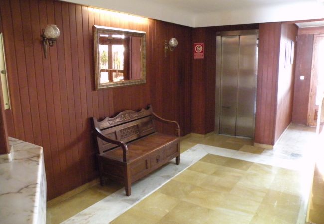 Apartamento en Benidorm - LOS PINOS (1 DORMITORIO) Apartamento en Benidorm - LOS PINOS (1 DORMITORIO)