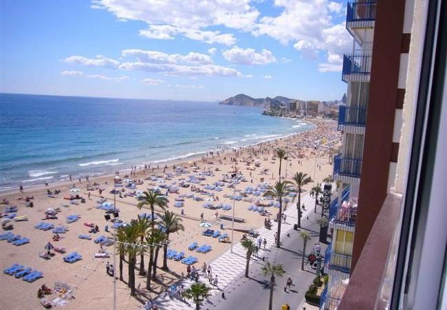 Apartamento en Benidorm - MIRAMAR PLAYA (1 DORMITORIO)