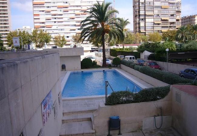 Apartamento en Benidorm - TORRE LEVANTE (1 DORMITORIO)