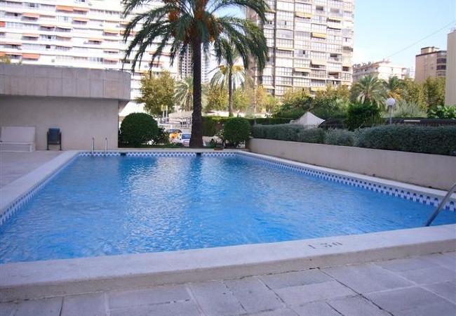 Apartamento en Benidorm - TORRE LEVANTE (1 DORMITORIO)