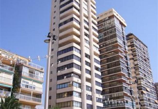 Apartamento en Benidorm - TORRE LEVANTE (1 DORMITORIO)