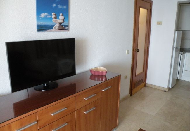 Apartamento en Benidorm - TORRE LEVANTE (1 DORMITORIO) Apartamento en Benidorm - TORRE LEVANTE (1 DORMITORIO)