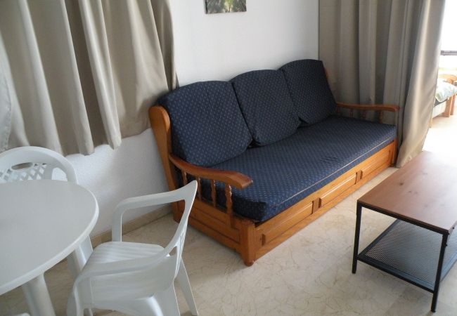 Apartamento en Benidorm - TORRE LEVANTE (1 DORMITORIO) Apartamento en Benidorm - TORRE LEVANTE (1 DORMITORIO)