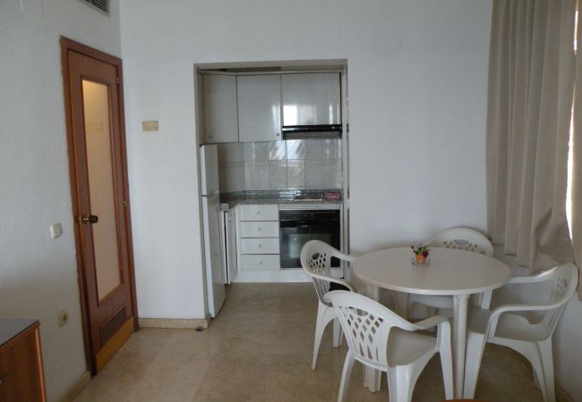 Apartamento en Benidorm - TORRE LEVANTE (1 DORMITORIO)