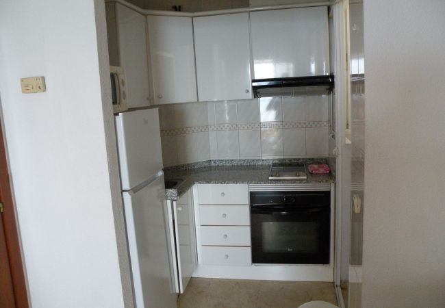 Apartamento en Benidorm - TORRE LEVANTE (1 DORMITORIO) Apartamento en Benidorm - TORRE LEVANTE (1 DORMITORIO)