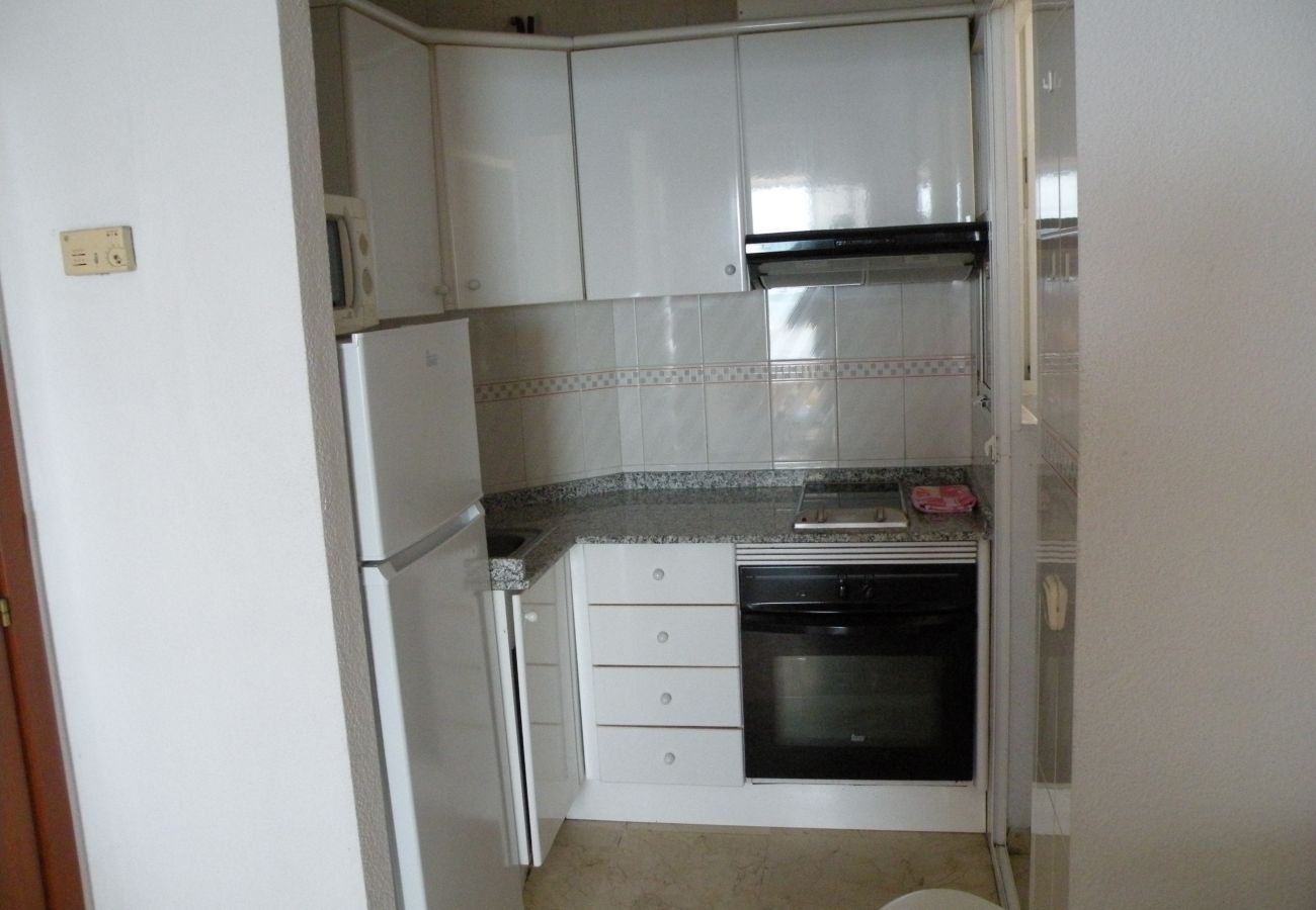 Apartamento en Benidorm - TORRE LEVANTE (1 DORMITORIO)