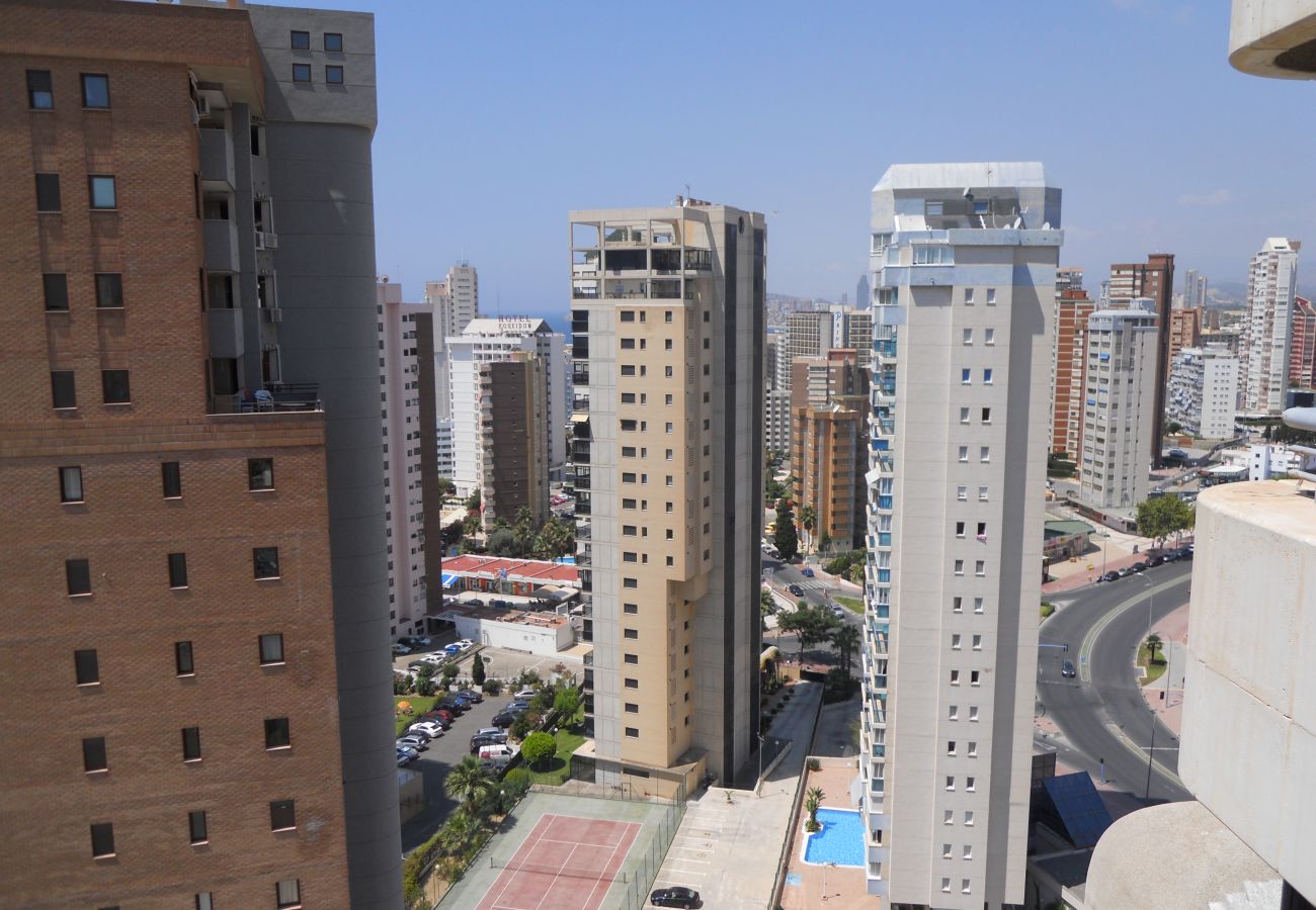 Apartamento en Benidorm - Apartamentos San Francisco (1 dormitorio)