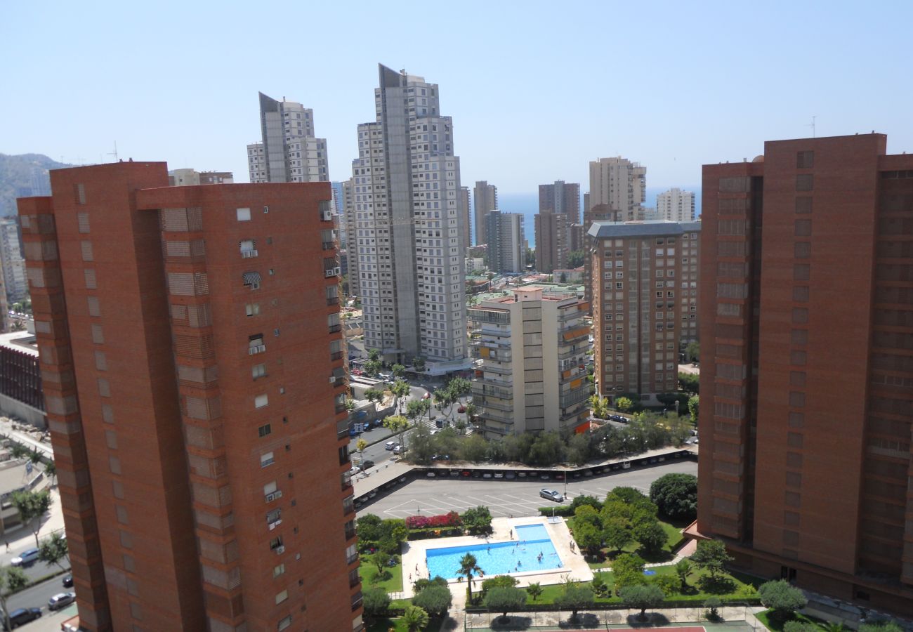 Apartamento en Benidorm - Apartamentos San Francisco (1 dormitorio)