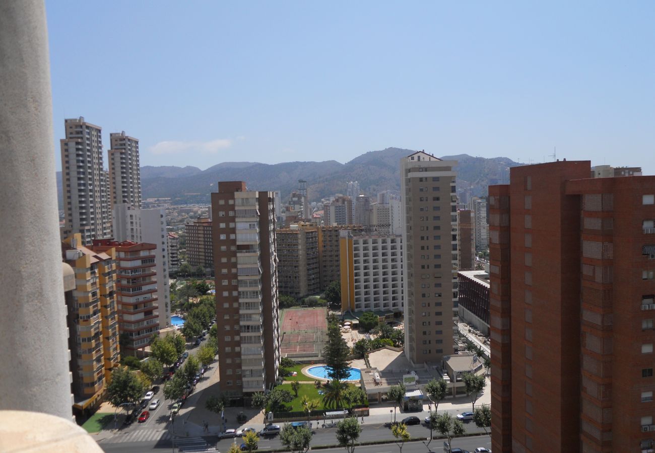 Apartamento en Benidorm - Apartamentos San Francisco (1 dormitorio)