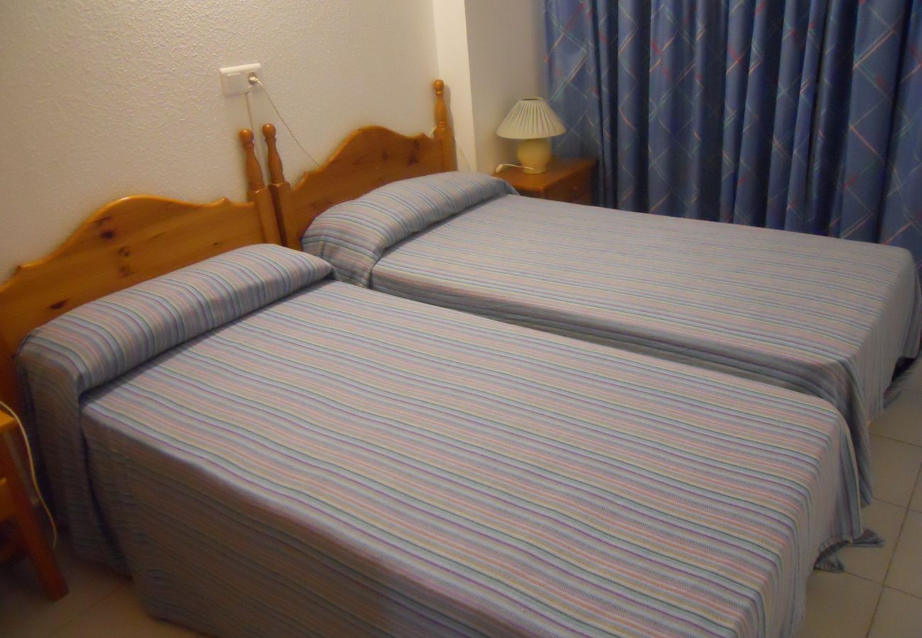 Apartamento en Benidorm - Apartamentos San Francisco (1 dormitorio)