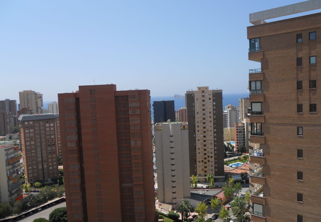 Apartamento en Benidorm - Apartamentos San Francisco (1 dormitorio)