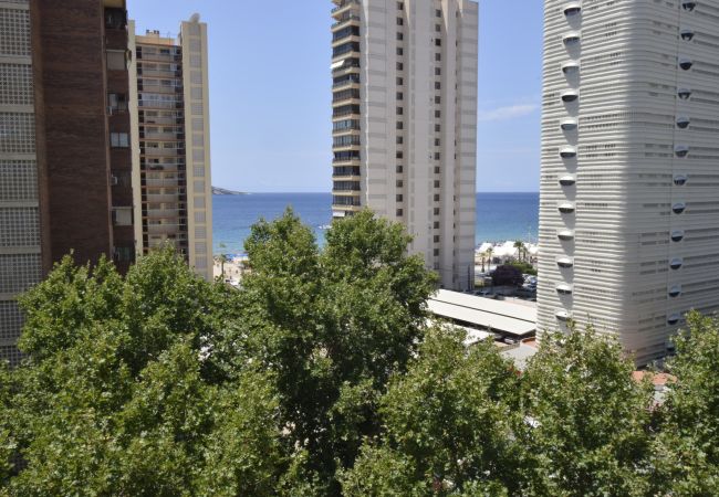 Apartamento en Benidorm - PRINCIPADO MEDITERRANEO (1 DORMITORIO) Apartamento en Benidorm - PRINCIPADO MEDITERRANEO (1 DORMITORIO)