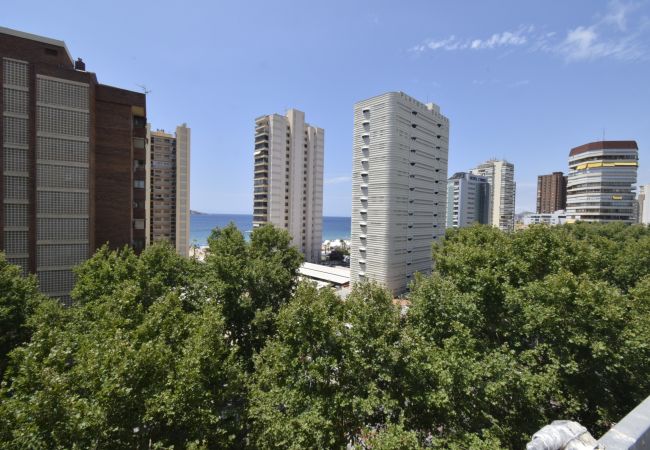 Apartamento en Benidorm - PRINCIPADO MEDITERRANEO (1 DORMITORIO) Apartamento en Benidorm - PRINCIPADO MEDITERRANEO (1 DORMITORIO)