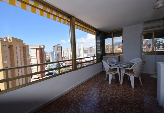 Apartamento en Benidorm - MARISCAL 1 (1 DORMITORIO) Apartamento en Benidorm - MARISCAL 1 (1 DORMITORIO)