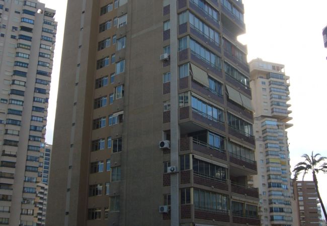 Apartamento en Benidorm - MARISCAL 1 (1 DORMITORIO) Apartamento en Benidorm - MARISCAL 1 (1 DORMITORIO)