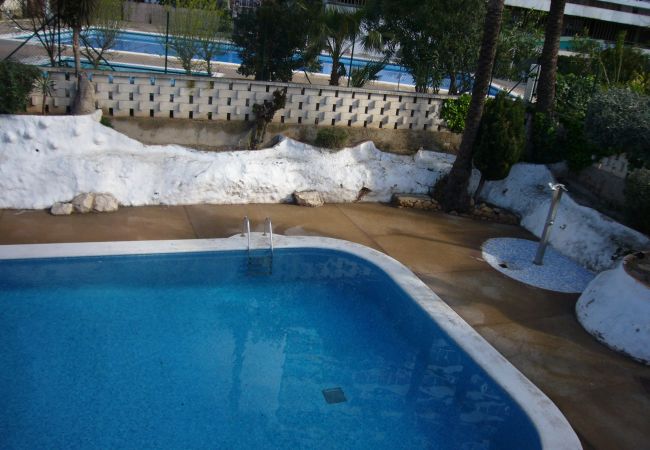 Apartamento en Benidorm - MARISCAL 1 (1 DORMITORIO) Apartamento en Benidorm - MARISCAL 1 (1 DORMITORIO)