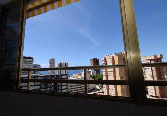 Apartamento en Benidorm - MARISCAL 1 (1 DORMITORIO)