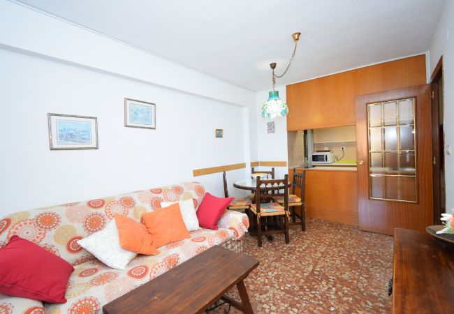 Apartamento en Benidorm - MARISCAL 1 (1 DORMITORIO) Apartamento en Benidorm - MARISCAL 1 (1 DORMITORIO)