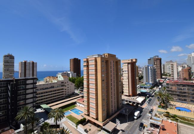 Apartamento en Benidorm - MARISCAL 1 (1 DORMITORIO) Apartamento en Benidorm - MARISCAL 1 (1 DORMITORIO)